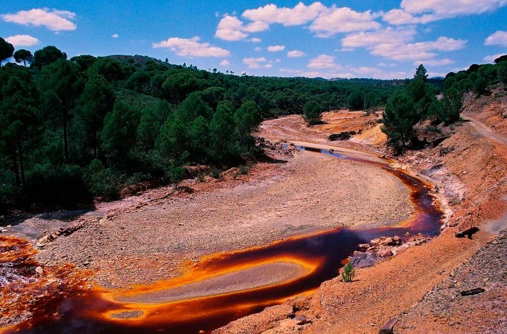 Acceso y sostenibilidad: desafíos hídricos de las comunidades indígenas ante megaproyectos