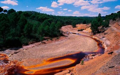 Acceso y sostenibilidad: desafíos hídricos de las comunidades indígenas ante megaproyectos